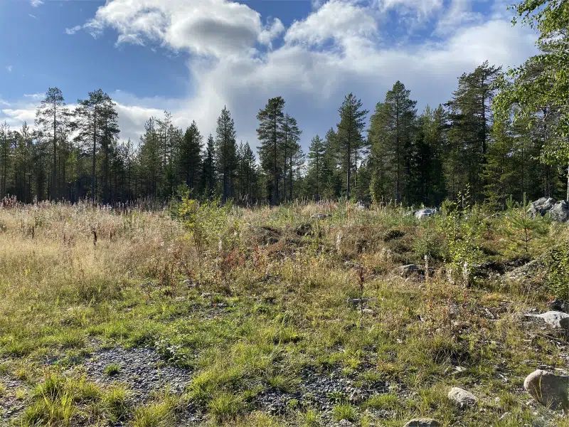 Tomt / mark i Haparanda