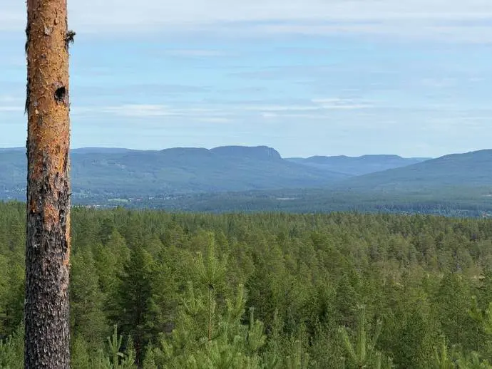 Image 1 of 21 of Månsta 22:18