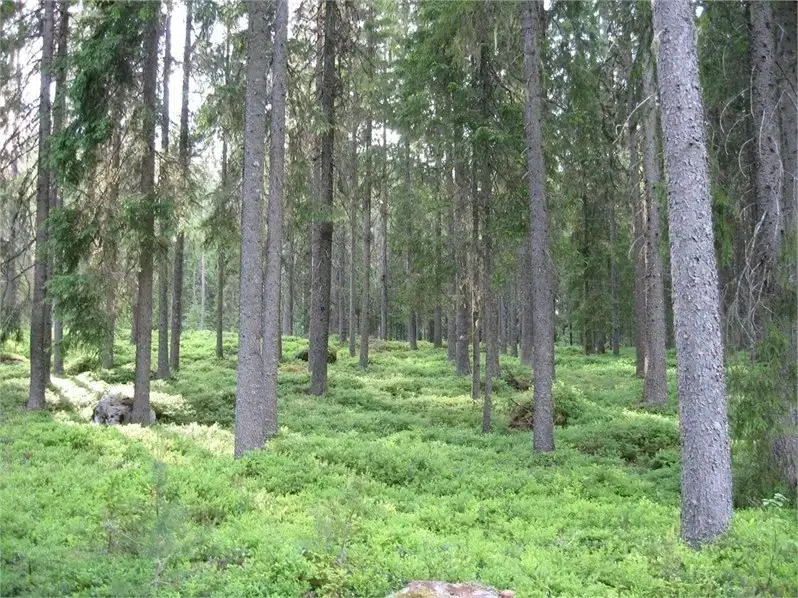 Lägenhet i Munkfors