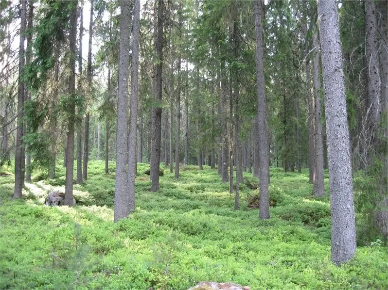 Bild 1 av 3 på Munkerud