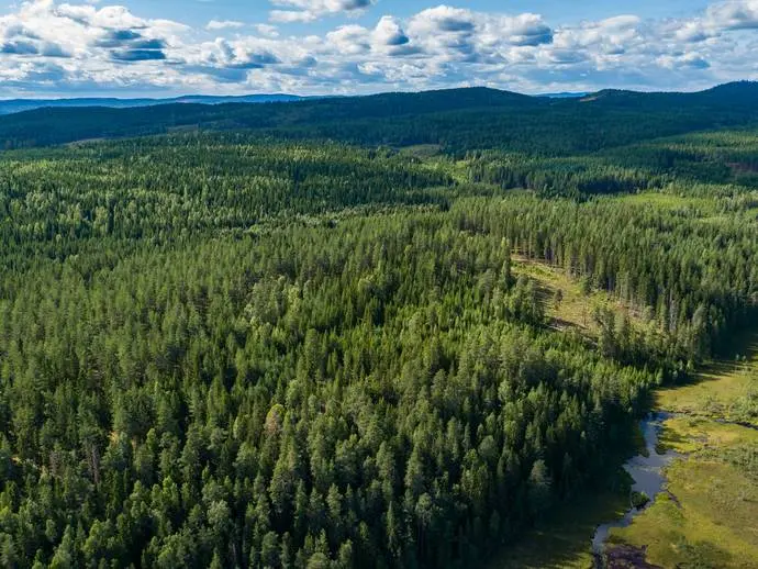 Bild 1 av 21 på Kollerud