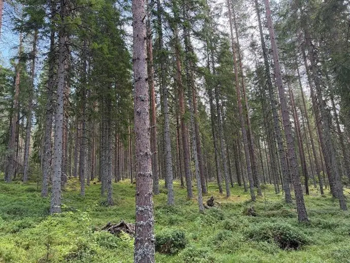Bild 1 av 21 på Mobyarna 36:8