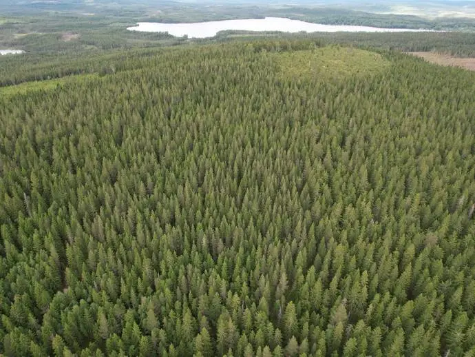 Bild 1 av 21 på Nilslarsberg