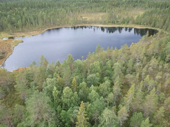 Bild 1 av 21 på VINDELN LÅNGTRÄSK 1:11