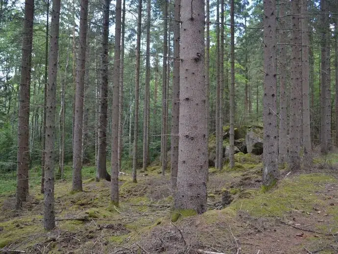 Lägenhet