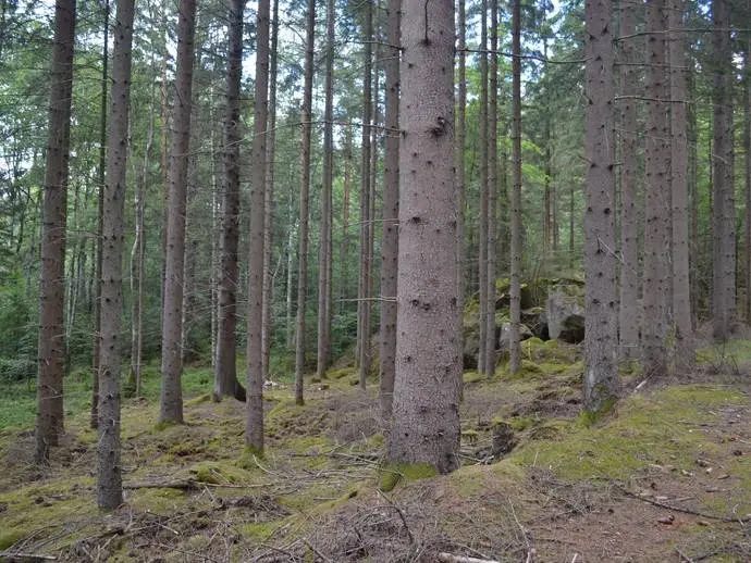 Bild 1 av 21 på Gränum