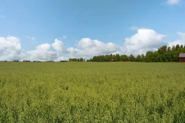 Gård, 76 m² i Lidköping
