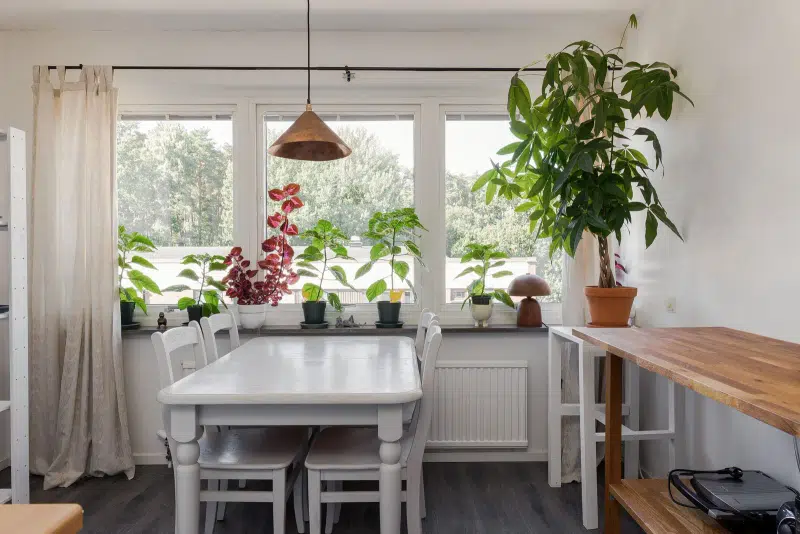 Apartment, 1 room, 34 m²