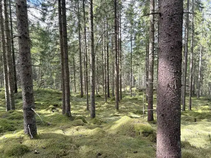 Lägenhet