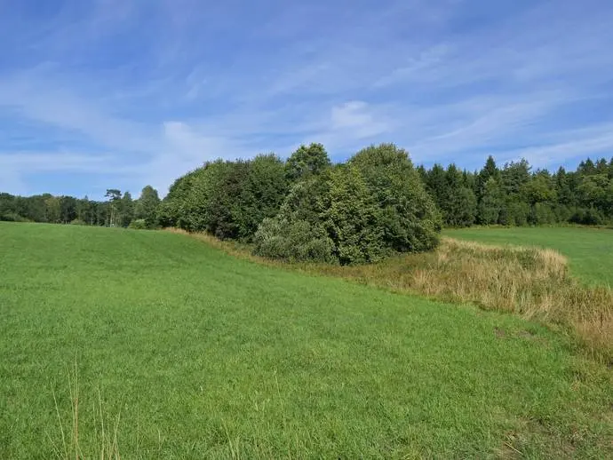 Bild 1 av 11 på Frillesås