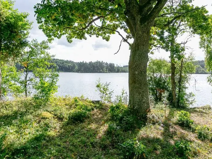Bild 1 av 18 på Enskilt sjöläge, skogsfastighet Sävsjö