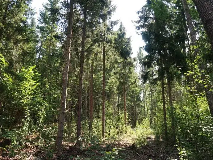 Lägenhet