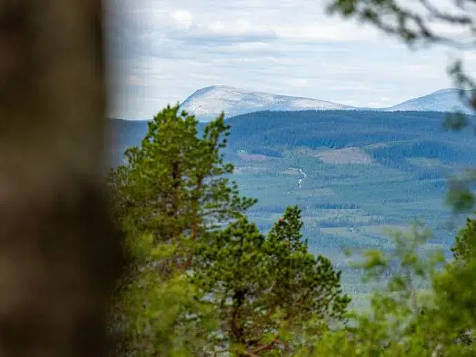 Lägenhet