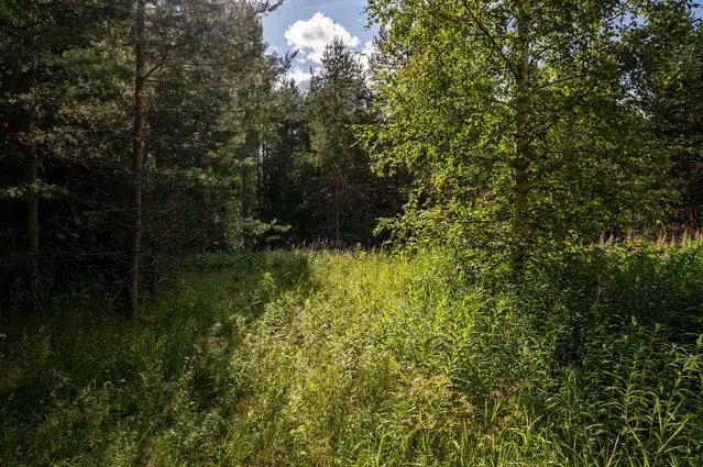 Tomt / mark, 1 m² i Borgsjö