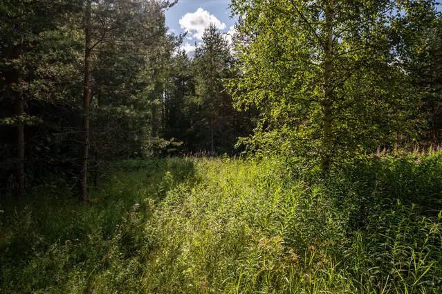 Image 1 of 18 of Bakgatan 10