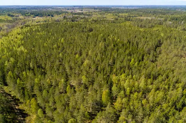 Gård