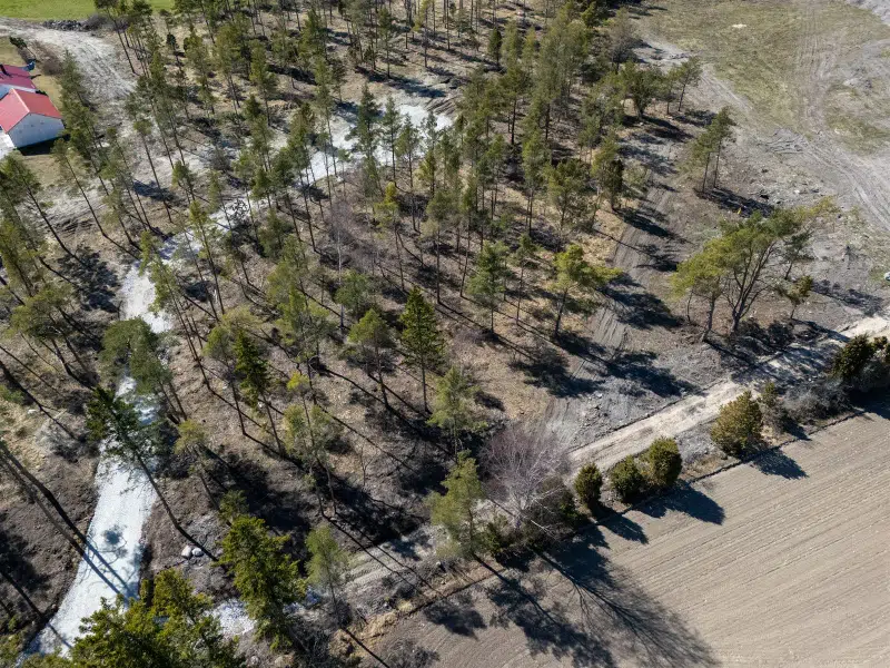 Tomt / mark, 2906 m² i Gotlands Tofta