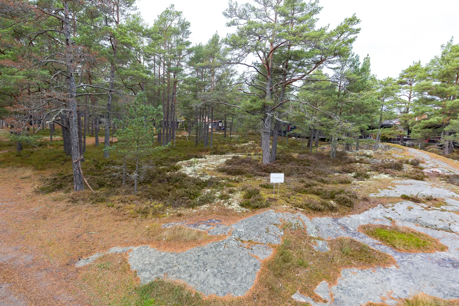Bild 1 av 26 på Sandhamn