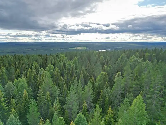 Bild 1 av 12 på Överrödå