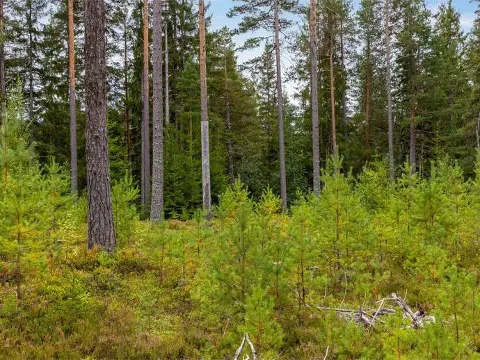 Land / plot in Mora