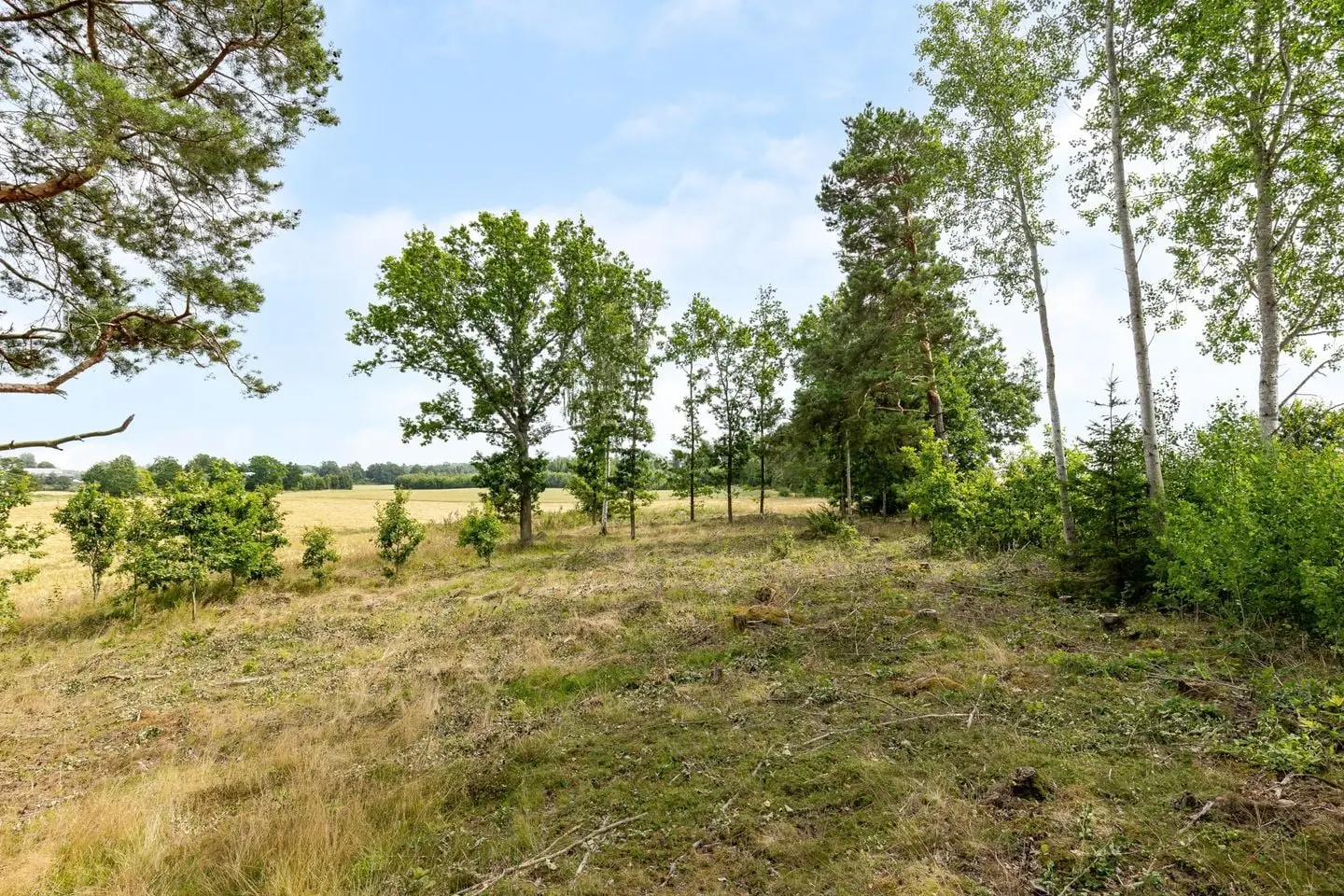 Image 1 of 9 of Vimarka