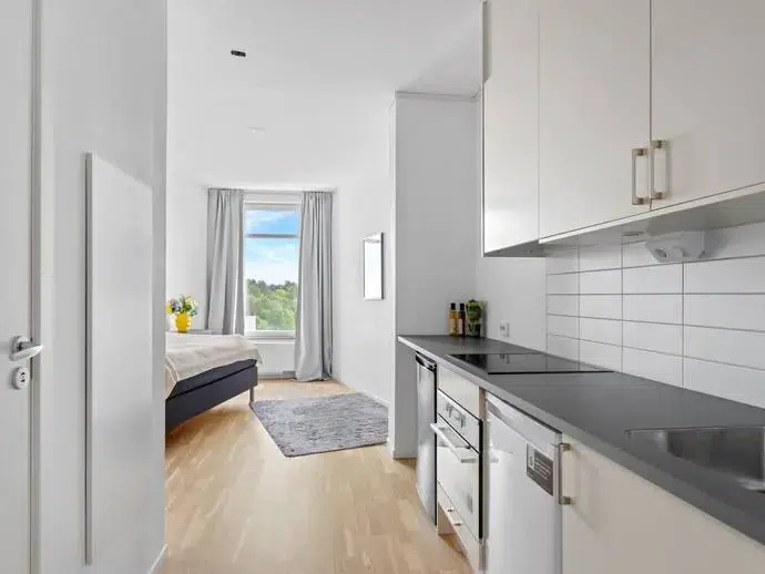 Lägenhet, 1 rum, 24 m²