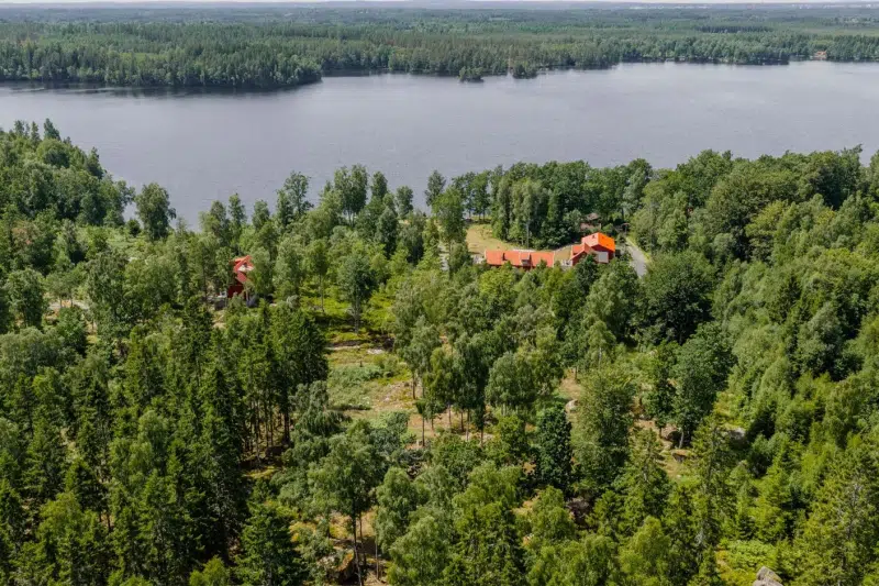 Land / plot in Bor