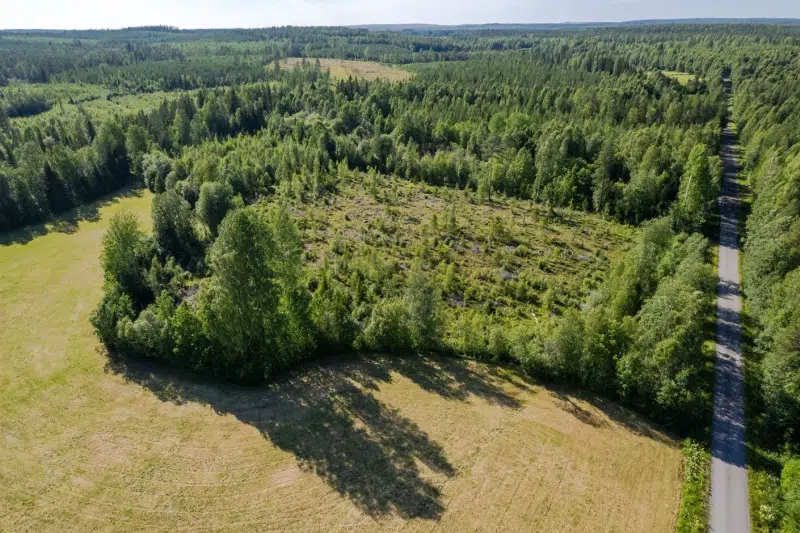 Land / plot