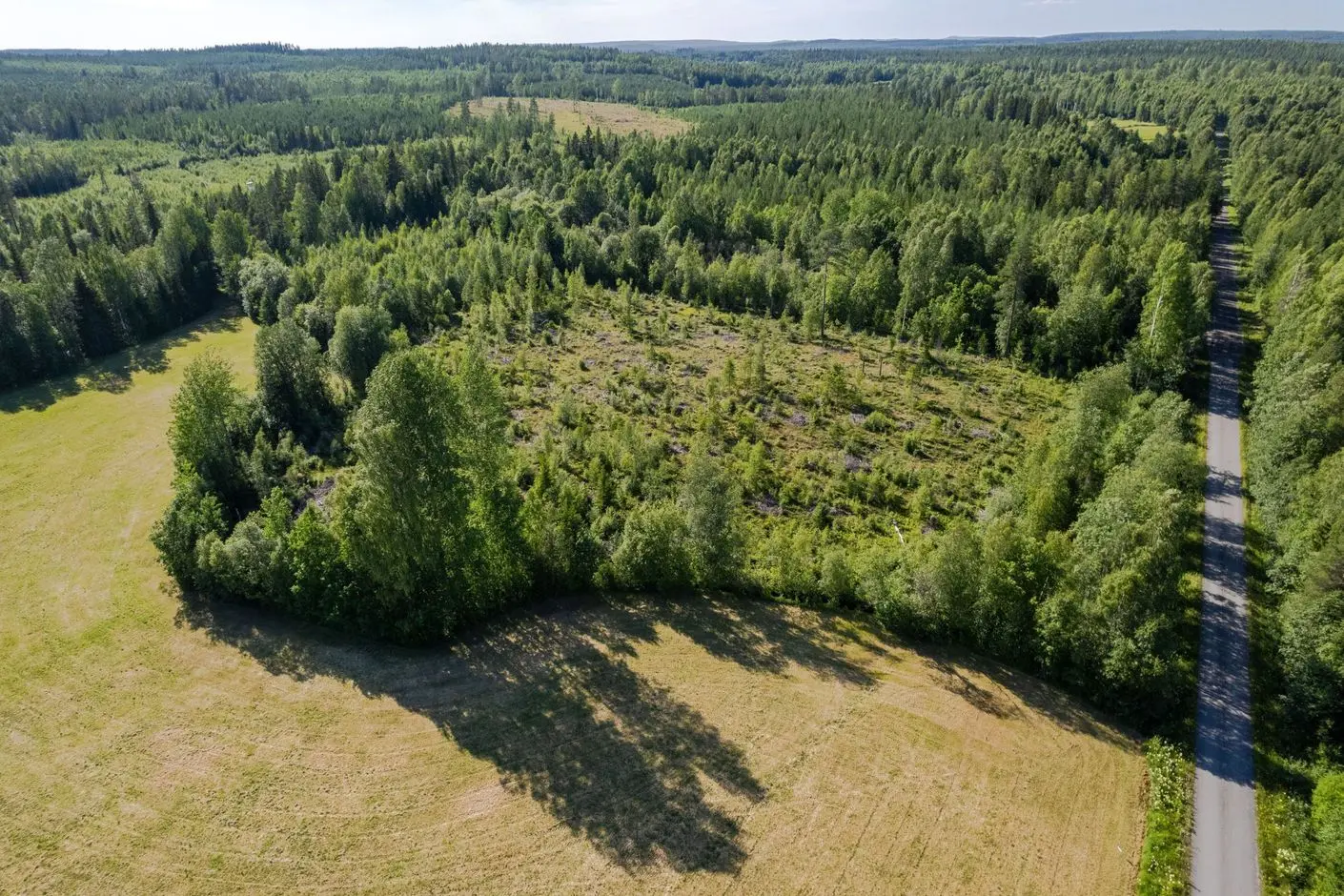 Image 1 of 7 of Skellefteå-lövlund 1:26