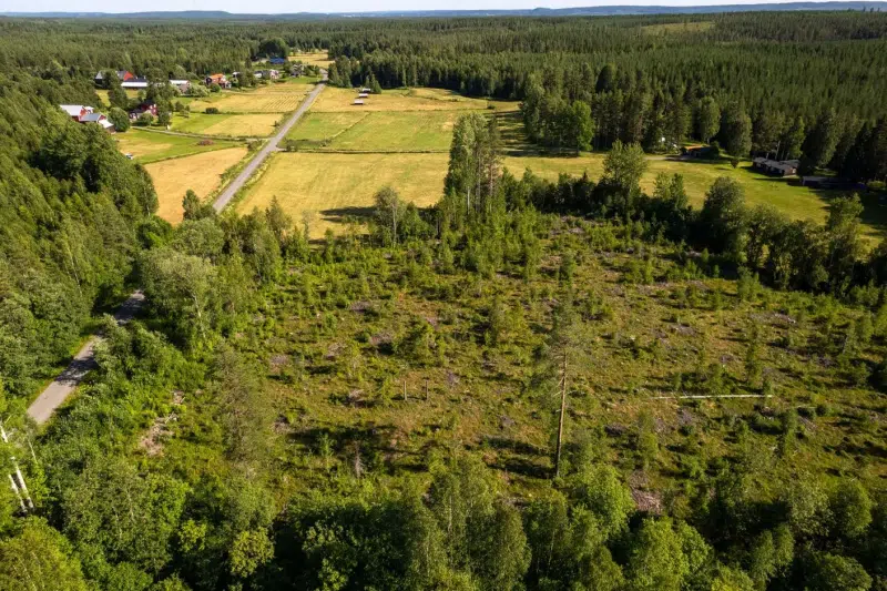 Land / plot