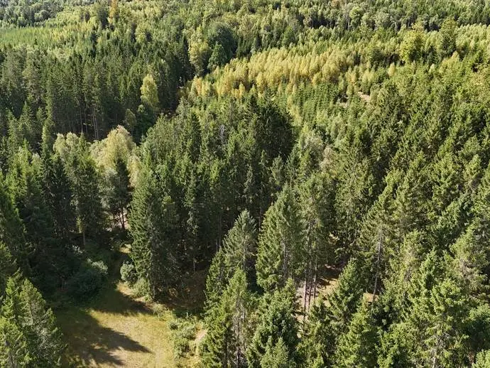 Bild 1 av 21 på Jeppa Svenstorp 2150