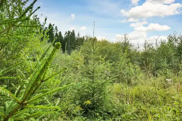 Gård i Falköping