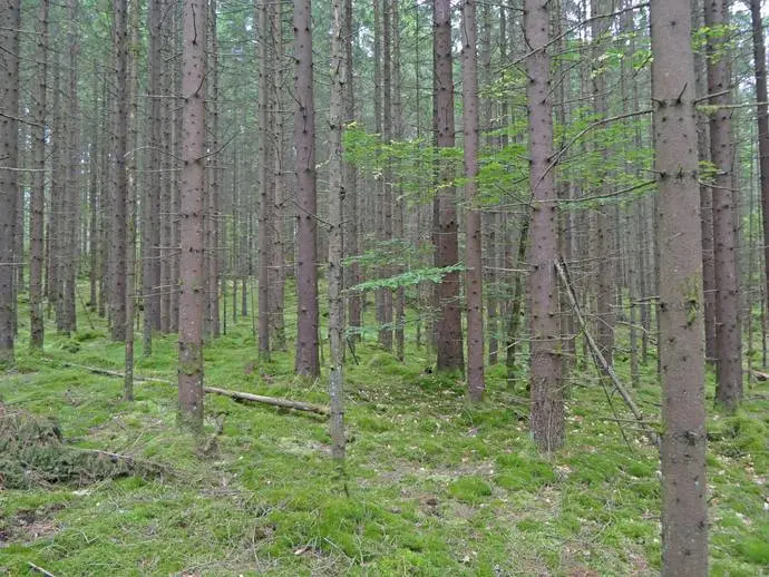 Bild 1 av 8 på Rörsjö