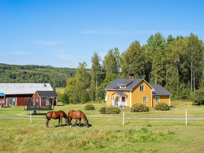 Bild 1 av 21 på Sätter 35