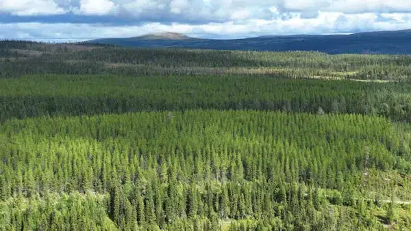 Gård i Härjedalen