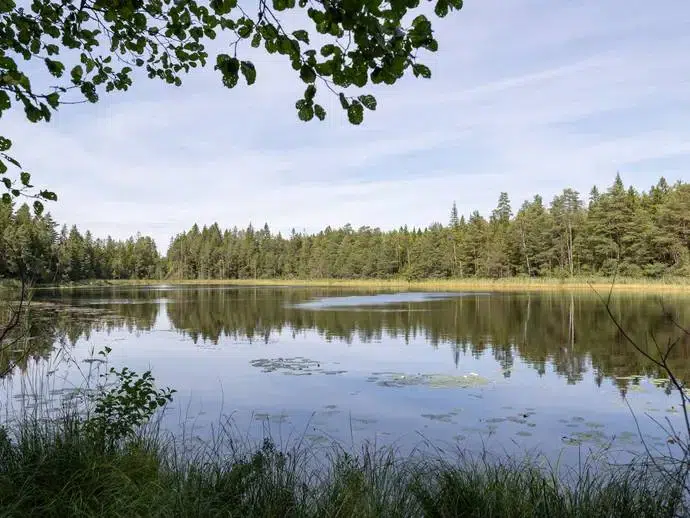 Lägenhet