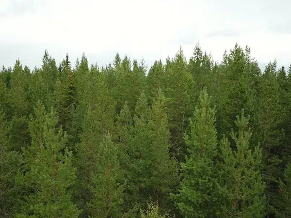 Lägenhet i Berg