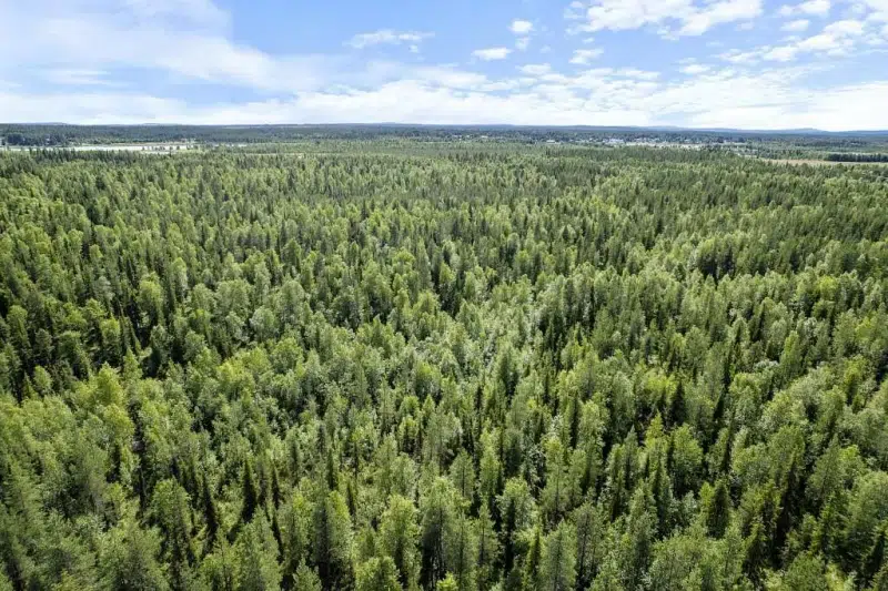 Gård i Pajala