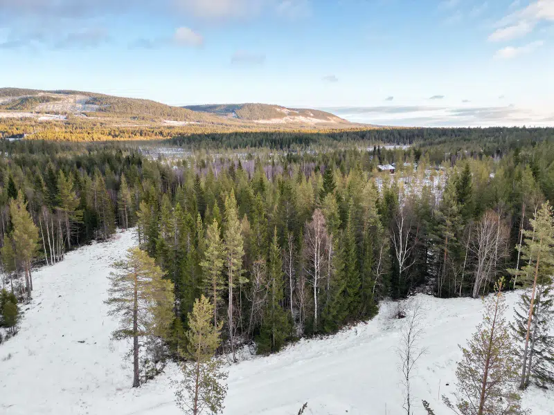 Tomt / mark i Jämtland