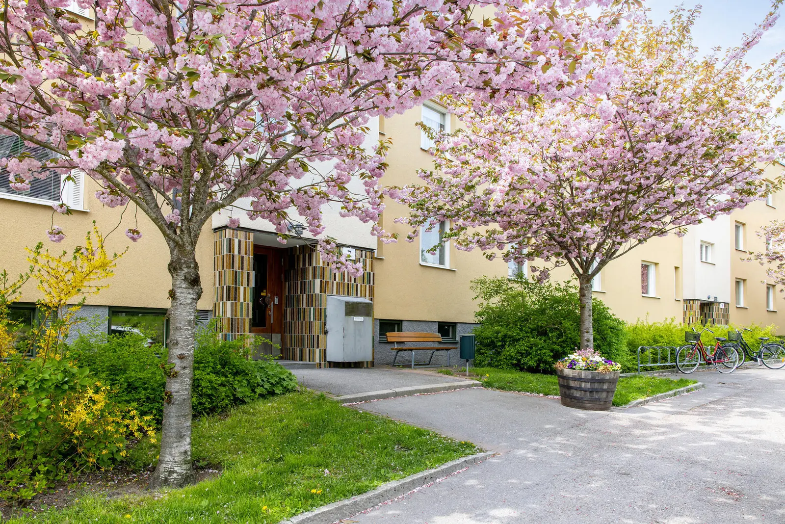 Image 1 of 7 of Askungevägen