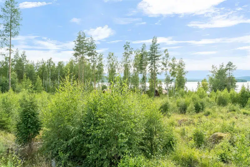 Land / plot in Dalarna