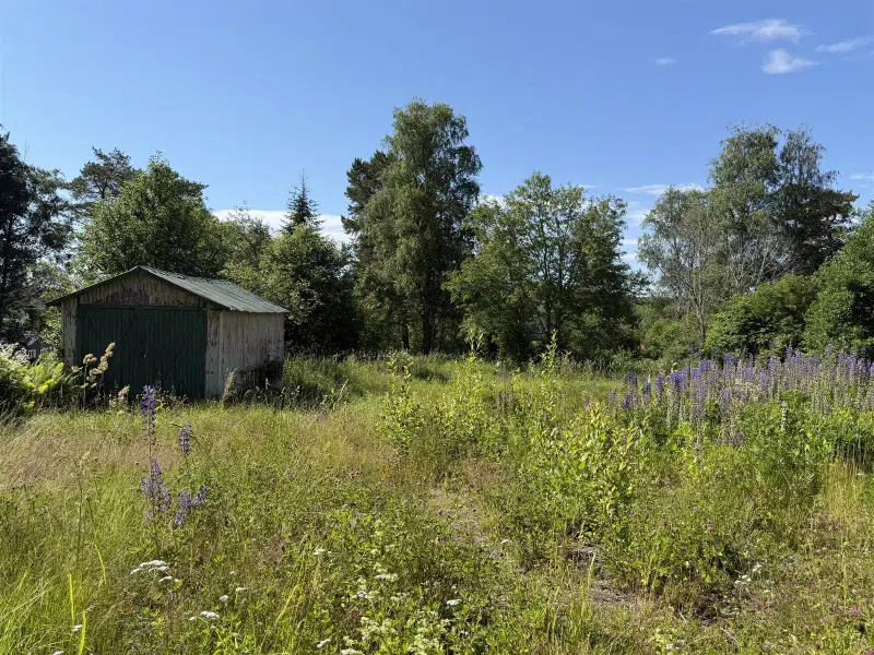 Tomt / mark i Västernorrland