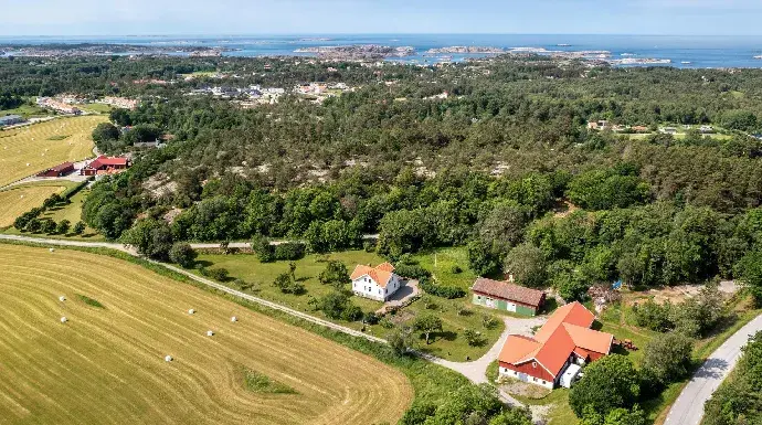 Bild 1 av 41 på Ulmekärr