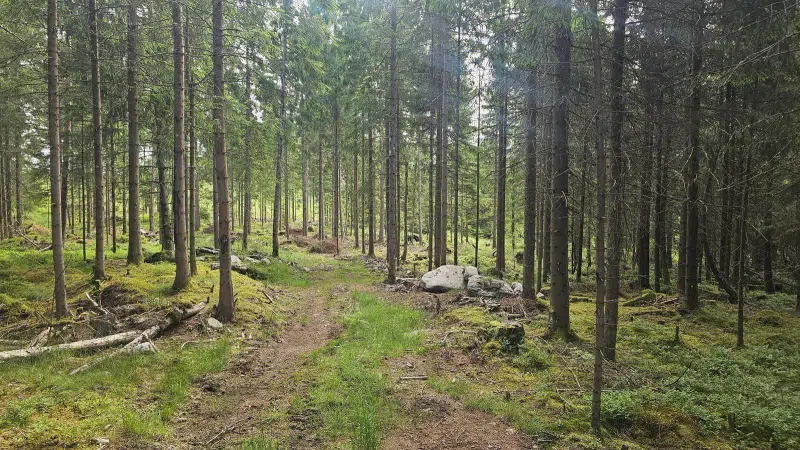 Land / plot, 1550 m² in Alingsås