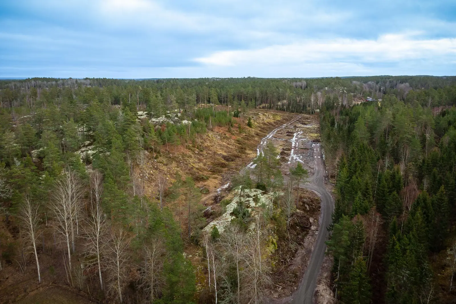 Bild 1 av 27 på Mossen tomt
