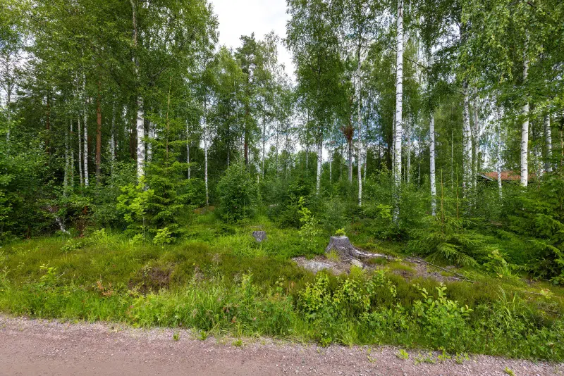 Land / plot, 1583 m² in Bollnäs