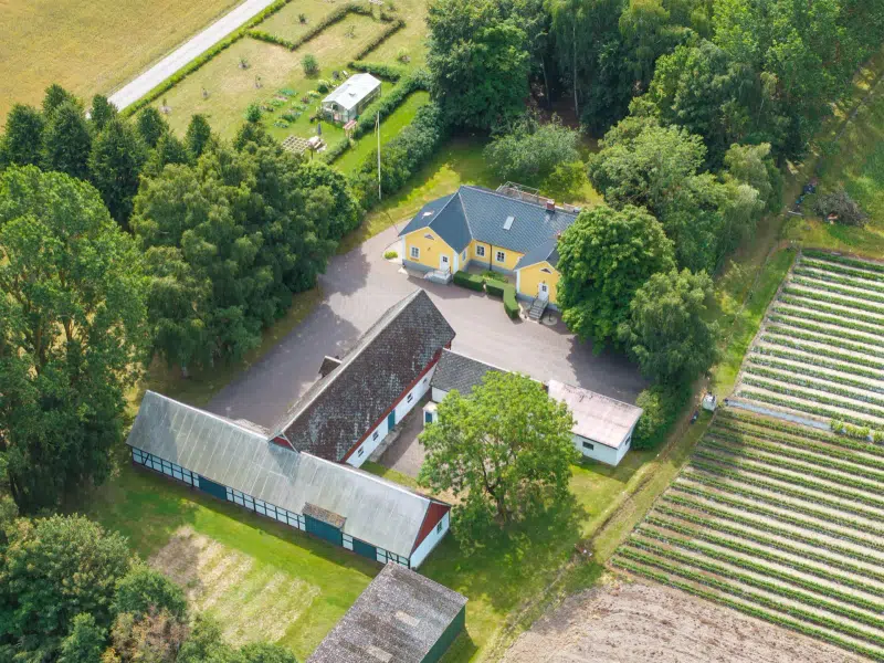 Farm, 12 rooms, 238 m² in Mjöhult