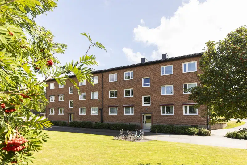 Apartment, 1 room, 42 m²