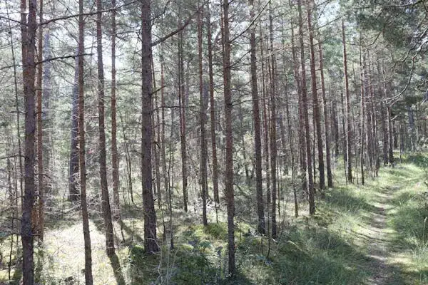 Lägenhet i Gotland