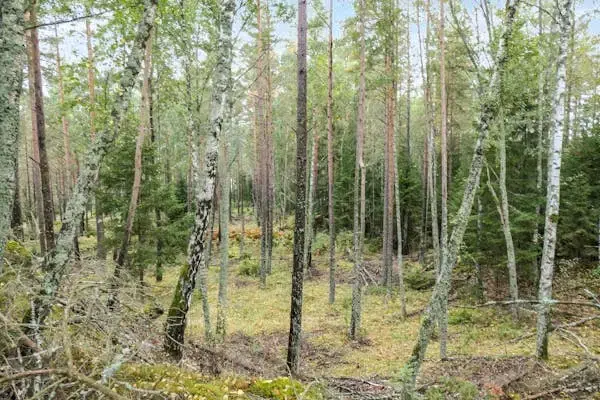 Gård i Falköping